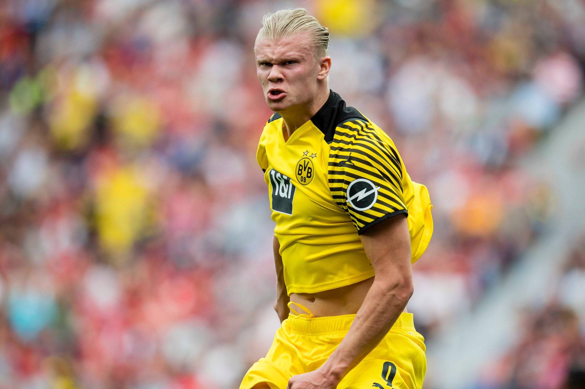 对乒乓球世 对乒乓球世