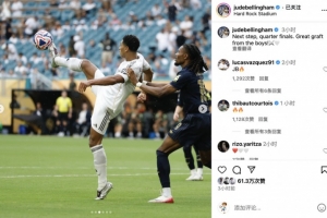 结论要点 结论要点